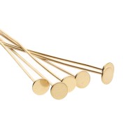 Wide Flat-Head Nail, 25x0.6 mm - Gold-Plated 304 Stainless Steel x6