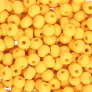 Seed Beads