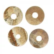Donut 20mm Picture Jasper x1