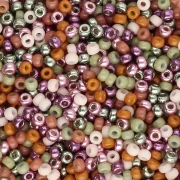 Miyuki 11/0 Seed Beads Mix - Magic Earth 1 x 8 g