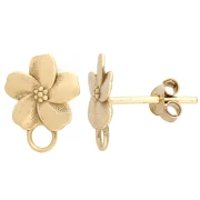 Accessories for Jewels