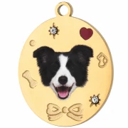 Oval charm, 19x15 mm, with UV-printed Border Collie head design - Gold-plated 304 stainless steel