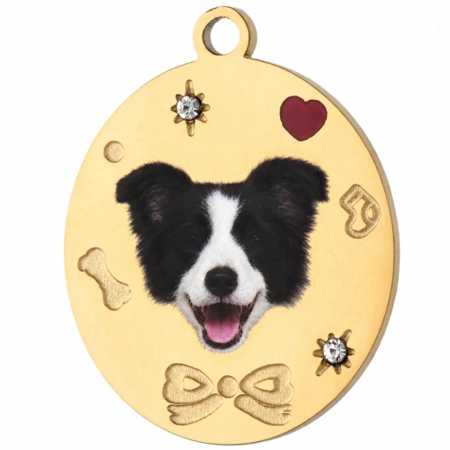 Oval charm, 19x15 mm, with UV-printed Border Collie head design - Gold-plated 304 stainless steel