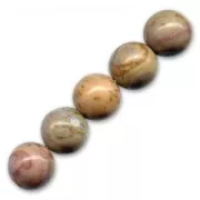 Bead Picture Jasper 12mm x1