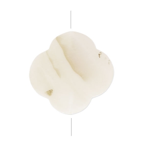 Flower beads  Mother-of-Pearl 20 mm Natural x1