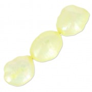 Irregular coloured olives 9x8mm light yellow x6|raw }}