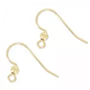 Gold filled 14 mm Earwires x2