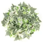 Metal wire garland of ivy x1.8 mètres