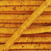 Stitched cork cord 4 mm Mustard x 50cm|raw }}