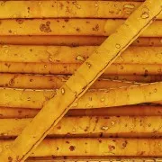 Stitched cork cord 4 mm Mustard x 50cm