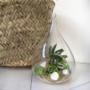 Nuggets White x725gr