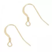 Gold filled 14mm Earwires x2