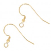Gold filled 17mm Earwires x2|raw }}