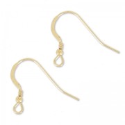 Gold filled 19mm Earwires x2