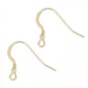 Gold filled 19mm Earwires x2