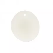 Fine Tagua slice 25-35 mm Natural x1