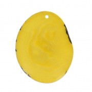 Fine Tagua slice 35-45 mm Yellow x1|raw }}