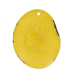 Fine Tagua slice 35-45 mm Yellow x1