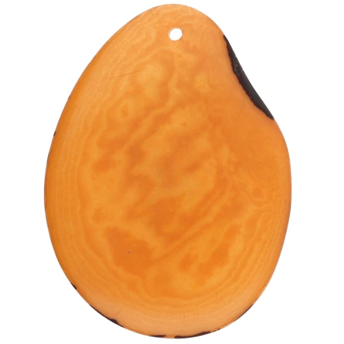 Fine Tagua slice 35-45 mm Orange x1
