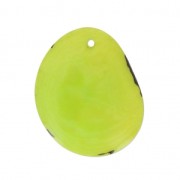 Thin slice of Tagua 35-45 mm Lime x1|raw }}