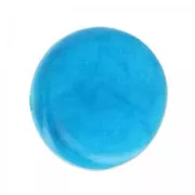 Tagua puck 19 mm Turquoise x 1