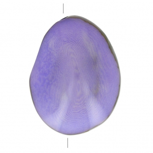 Worked tagua seed 35-50 mm Lilac x 1
