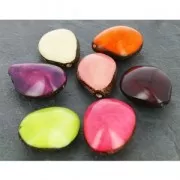 Worked tagua seed 35-50 mm Lilac x 1