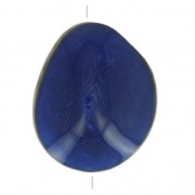 Worked tagua seed 35-50 mm Blue x 1|raw }}