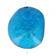 Worked tagua seed 35-50 mm Turquoise x 1|raw }}