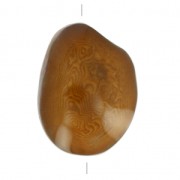 Worked tagua seed 35-50 mm Brown x 1|raw }}