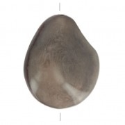 Worked tagua seed 35-50 mm Grey x 1|raw }}