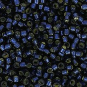 Miyuki Delica Duracoat 11/0 DB2192 - Dyed Montana Silver Lined x8g