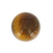 Round cabochon 10mm Tiger Eye