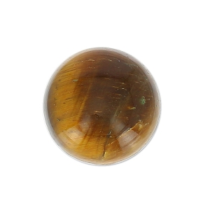 Round cabochon 10mm Tiger Eye