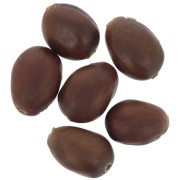 Amora seeds from South America 12 mm natural x 10|raw }}