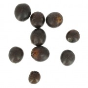 Boliche seeds from South America 4-10 mm natural x 10|raw }}