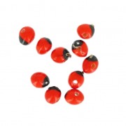 Huaeruro seeds from South America 6 mm natural x 10|raw }}