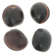 South American ojo de buey seed 30 mm Natural x 1