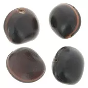 South American ojo de buey seed 30 mm Natural x 1