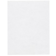 Lacy's Stiff Stuff - 21.6x28cm|raw }}