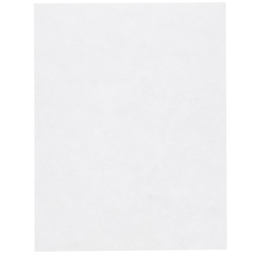 Lacy's Stiff Stuff - 21.6x28cm