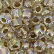 Toho seed beads 6/0 TO6R0994 - Gold Lined Rainbow Crystal x8g
