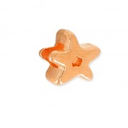 Star slider for 3 mm Lace Golden rose x1|raw }}