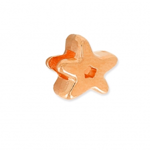 Star slider for 3 mm Lace Golden rose x1