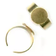 Ring base with 12mm fine gold plated x1