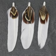 Double feather with terminator 70 mm white x1