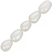 Olives pearls 7x6 mm white x10