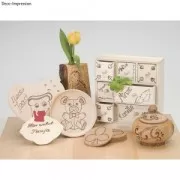 Pyrograver for wood, leather and cork + 9 Tips