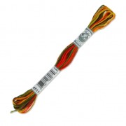 Embroidery Thread DMC Mouliné Colorise Eté indien (4511) x8m