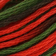 Embroidery Thread DMC Mouliné Colorise Eté indien (4511) x8m